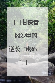 「甘快看」风沙里的逆袭“密码”