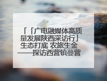 「广电融媒体高质量发展陕西采访行」生态打底 农旅生金——探访西营镇蔓营村省级旅游示范村的振兴密码