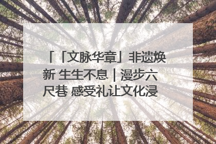 「文脉华章」非遗焕新 生生不息｜漫步六尺巷 感受礼让文化浸润的“巷”往生活