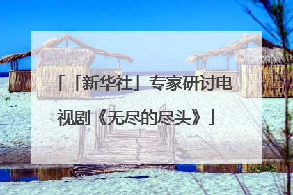 「新华社」专家研讨电视剧《无尽的尽头》
