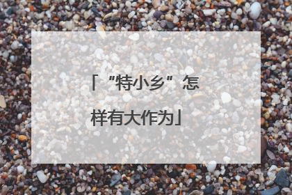 “特小乡”怎样有大作为
