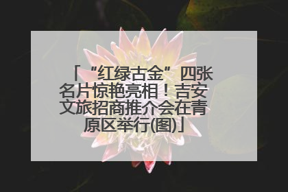 “红绿古金”四张名片惊艳亮相！吉安文旅招商推介会在青原区举行(图)