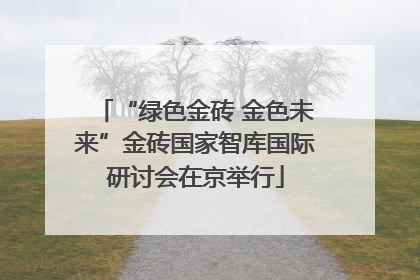 “绿色金砖 金色未来”金砖国家智库国际研讨会在京举行
