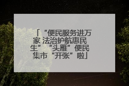 “便民服务进万家 法治护航惠民生”“头雁”便民集市“开张”啦