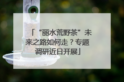 “丽水荒野茶”未来之路如何走？专题调研近日开展