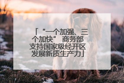 “一个加强、三个加快” 商务部支持国家级经开区发展新质生产力