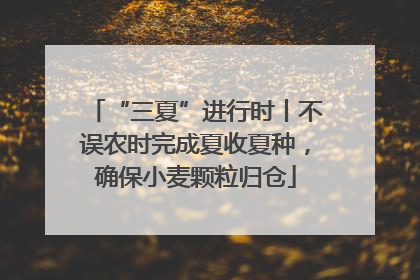 “三夏”进行时丨不误农时完成夏收夏种，确保小麦颗粒归仓