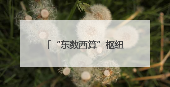 “东数西算”枢纽来沪推介，这里竟是华为云、腾讯和网易的算力“大本营”
