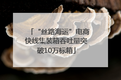 “丝路海运”电商快线集装箱吞吐量突破10万标箱