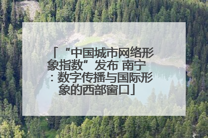 “中国城市网络形象指数”发布 南宁：数字传播与国际形象的西部窗口