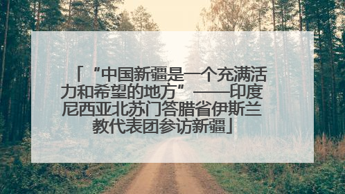 “中国新疆是一个充满活力和希望的地方”——印度尼西亚北苏门答腊省伊斯兰教代表团参访新疆