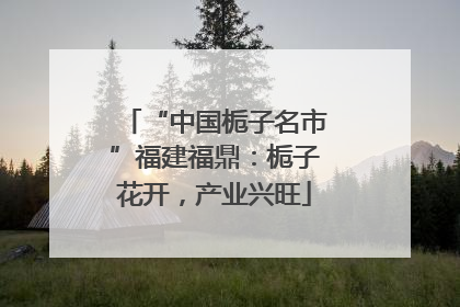 “中国栀子名市”福建福鼎：栀子花开，产业兴旺