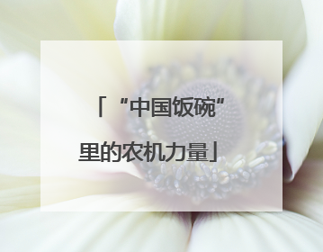 “中国饭碗”里的农机力量