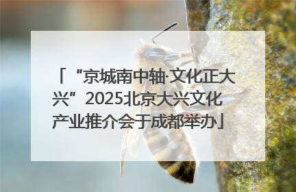 “京城南中轴·文化正大兴”2025北京大兴文化产业推介会于成都举办