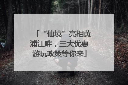 “仙境”亮相黄浦江畔，三大优惠游玩政策等你来