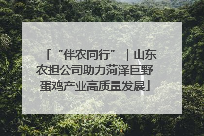 “伴农同行”｜山东农担公司助力菏泽巨野蛋鸡产业高质量发展