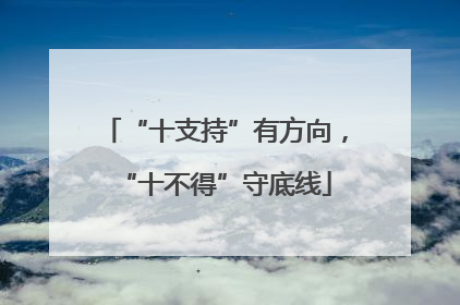 “十支持”有方向，“十不得”守底线