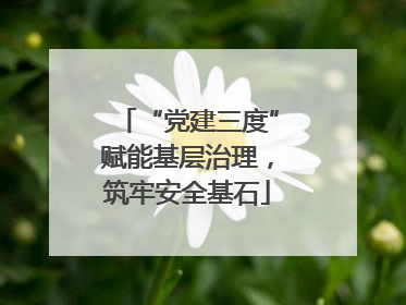 “党建三度”赋能基层治理，筑牢安全基石