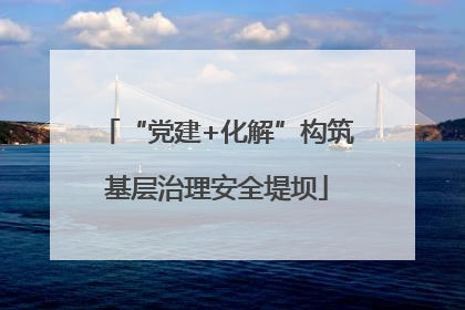 “党建+化解”构筑基层治理安全堤坝