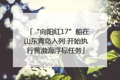 “向阳红17”船在山东青岛入列 开始执行黄渤海浮标任务