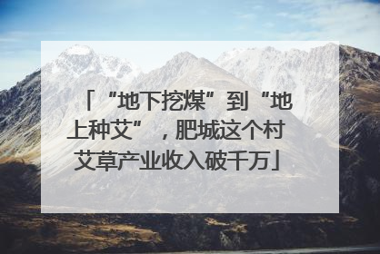 “地下挖煤”到“地上种艾”，肥城这个村艾草产业收入破千万