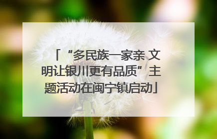 “多民族一家亲 文明让银川更有品质”主题活动在闽宁镇启动