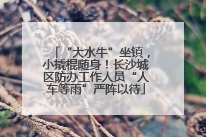 “大水牛”坐镇，小撬棍随身！长沙城区防办工作人员“人车等雨”严阵以待