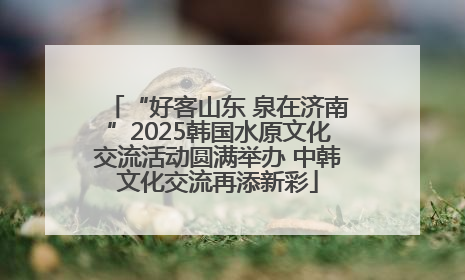 “好客山东 泉在济南”2025韩国水原文化交流活动圆满举办 中韩文化交流再添新彩