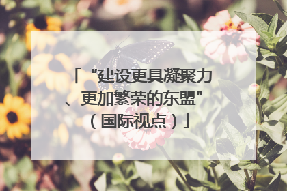 “建设更具凝聚力、更加繁荣的东盟”（国际视点）