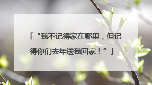 “我不记得家在哪里，但记得你们去年送我回家！”