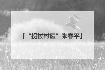 “拐杖村医”张春平