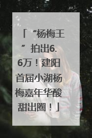 “杨梅王”拍出6.6万！建阳首届小湖杨梅嘉年华酸甜出圈！
