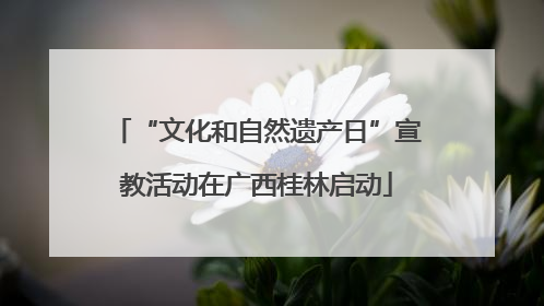 “文化和自然遗产日”宣教活动在广西桂林启动