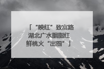 “映红”致富路 湖北广水胭脂红鲜桃火“出圈”