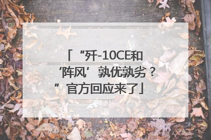 “歼-10CE和‘阵风’孰优孰劣？”官方回应来了