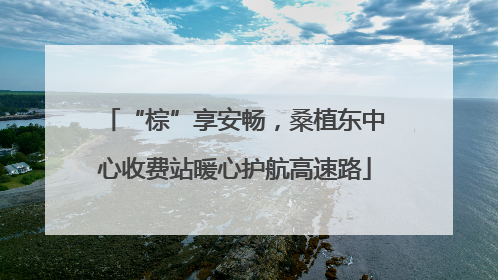 “棕”享安畅，桑植东中心收费站暖心护航高速路