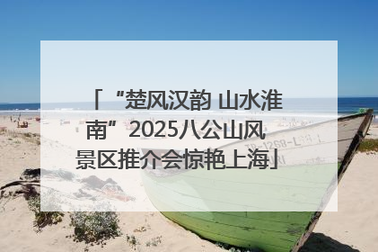“楚风汉韵 山水淮南”2025八公山风景区推介会惊艳上海