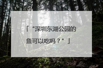 “深圳东湖公园的鱼可以吃吗？”