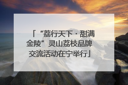“荔行天下・甜满金陵”灵山荔枝品牌交流活动在宁举行