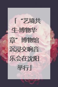 “艺境共生·博物华章”博物馆沉浸交响音乐会在沈阳举行