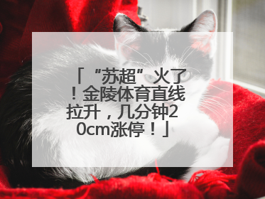 “苏超”火了！金陵体育直线拉升，几分钟20cm涨停！