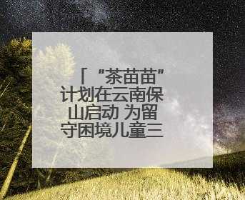 “茶苗苗”计划在云南保山启动 为留守困境儿童三餐“加肉”