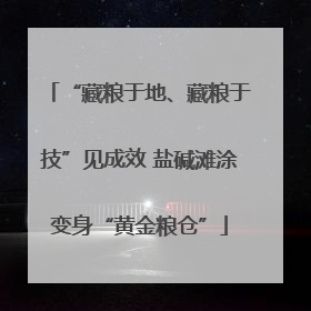 “藏粮于地、藏粮于技”见成效 盐碱滩涂变身“黄金粮仓”