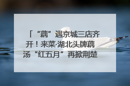 “藕”遇京城三店齐开！来菜·湖北头牌藕汤“红五月”再掀荆楚美食文化风暴