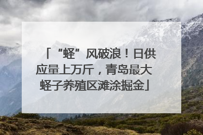 “蛏”风破浪！日供应量上万斤，青岛最大蛏子养殖区滩涂掘金
