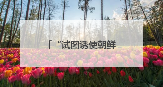 “试图诱使朝鲜进攻韩国”！韩议员：韩军曾派无人机侵入平壤