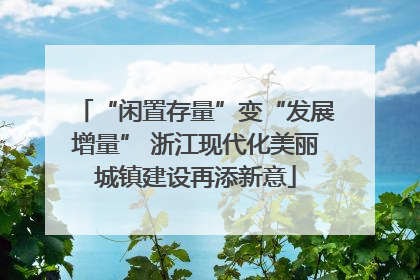 “闲置存量”变“发展增量” 浙江现代化美丽城镇建设再添新意