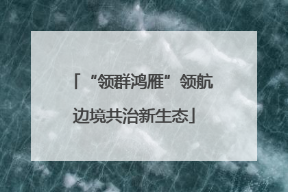“领群鸿雁”领航边境共治新生态