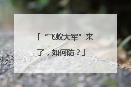 “飞蚁大军”来了，如何防？