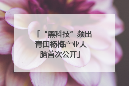 “黑科技”频出 青田杨梅产业大脑首次公开